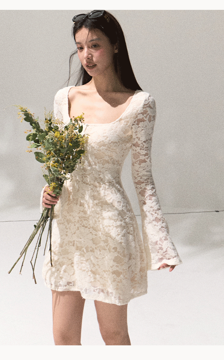 Oakmoo Warm Velvet Stretch Lace Dress